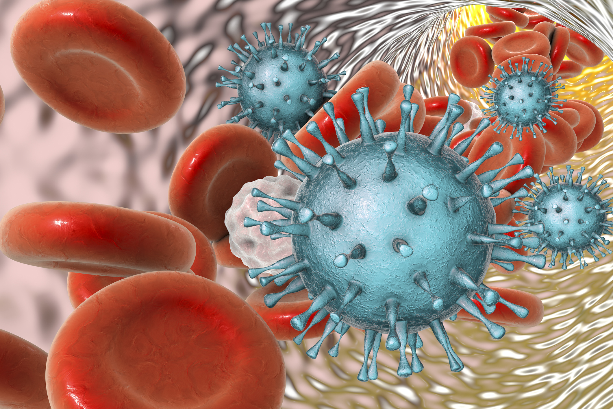 Cytomegalovirus i blodet