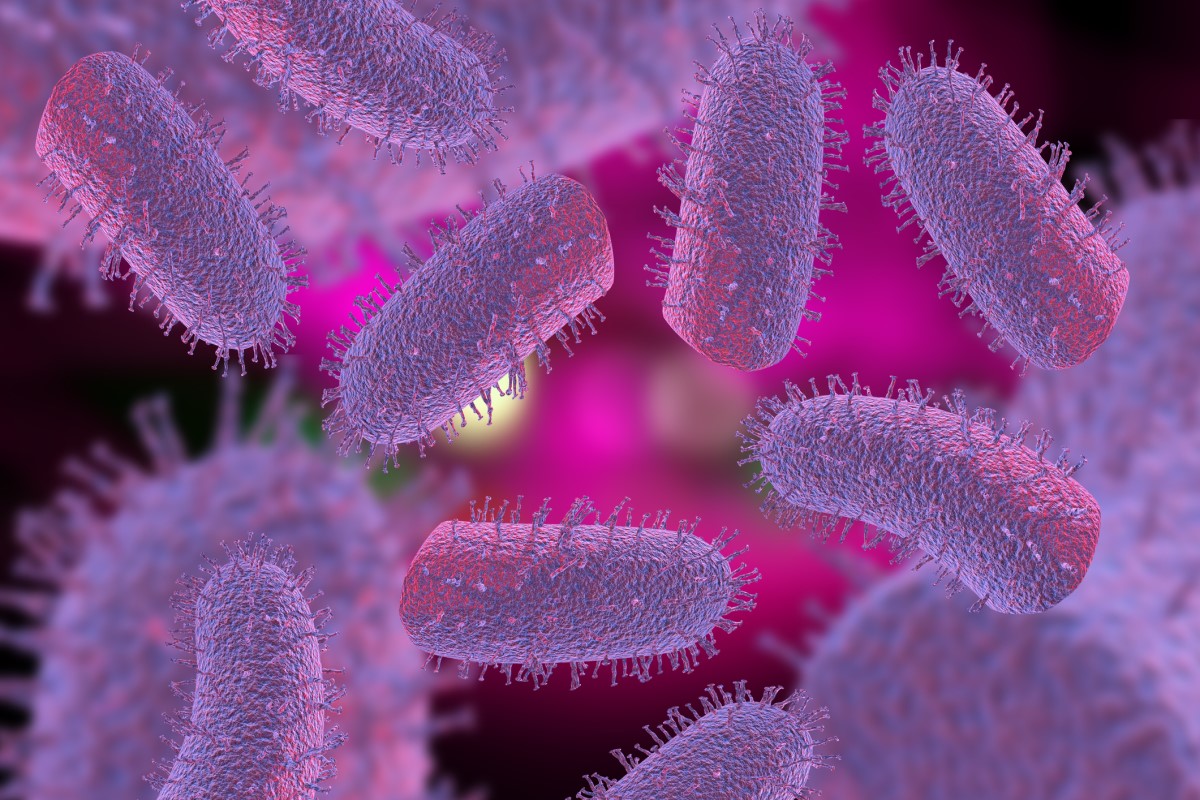 Lyssavirus - Lyssavirus - 3D-framställning av rabiesvirus