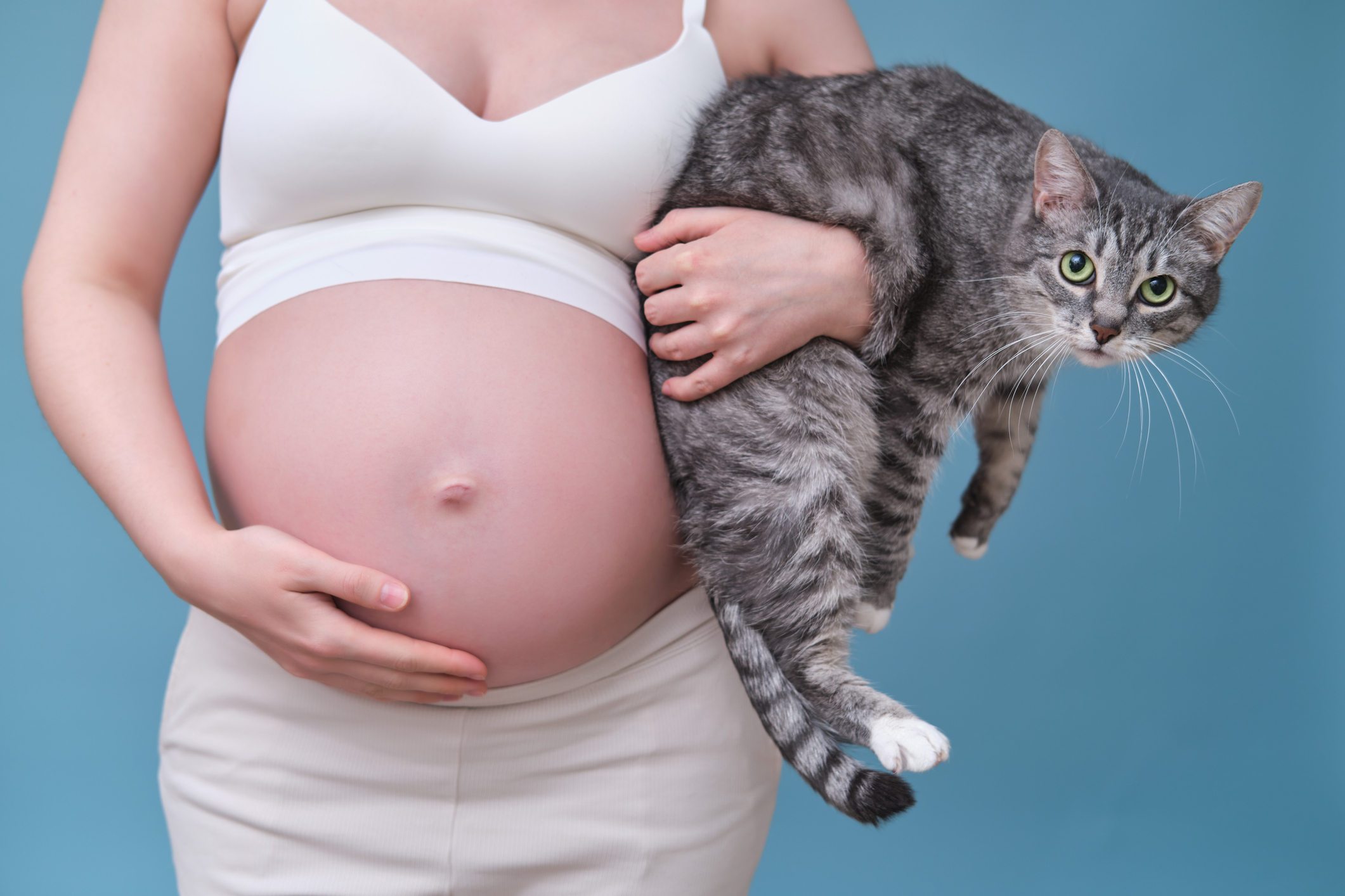 Gravid kvinna som håller i en katt