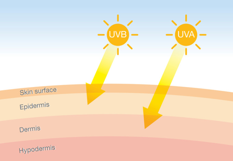 ultraviolett strålning som tränger in i huden, schematisk framställning