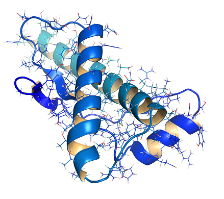 prionproteinets mikroskopiska struktur