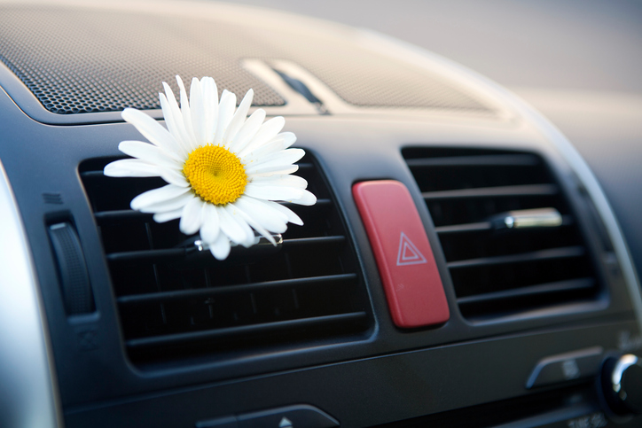 Luftkonditionering i bilen, luftutsläpp, blomma, behaglig arom, underhåll