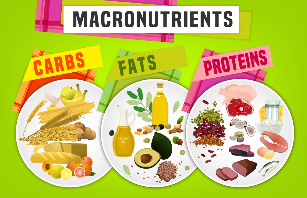 Makronäringsämnen - socker, fett, protein - animering av tallrikar och livsmedel med givna näringsämnen