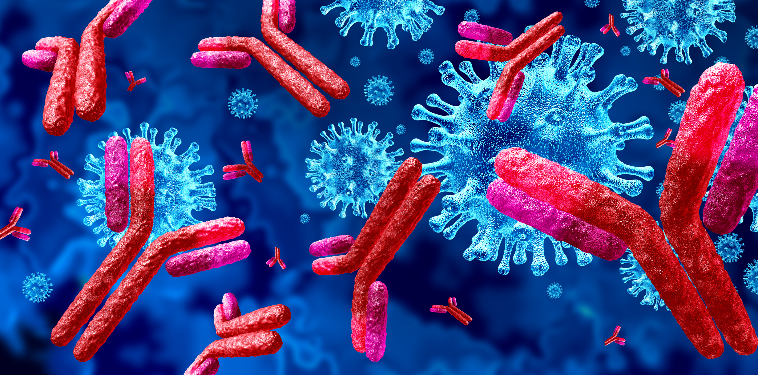 3D-modell av antikroppar som angriper främmande virus.