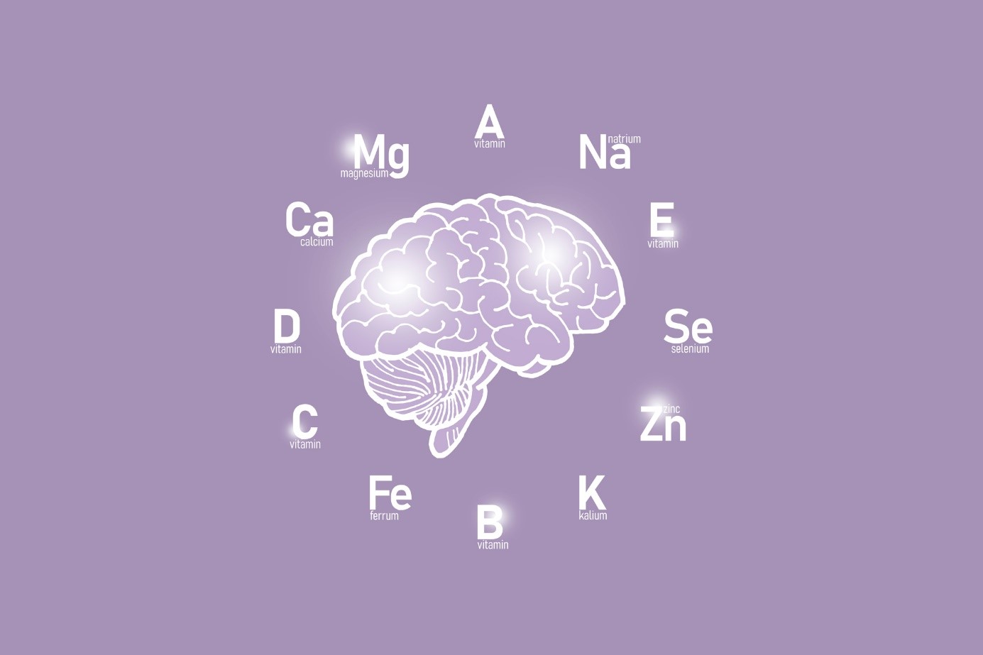 Selen har också en viktig funktion för hjärnan och det neurologiska systemet.