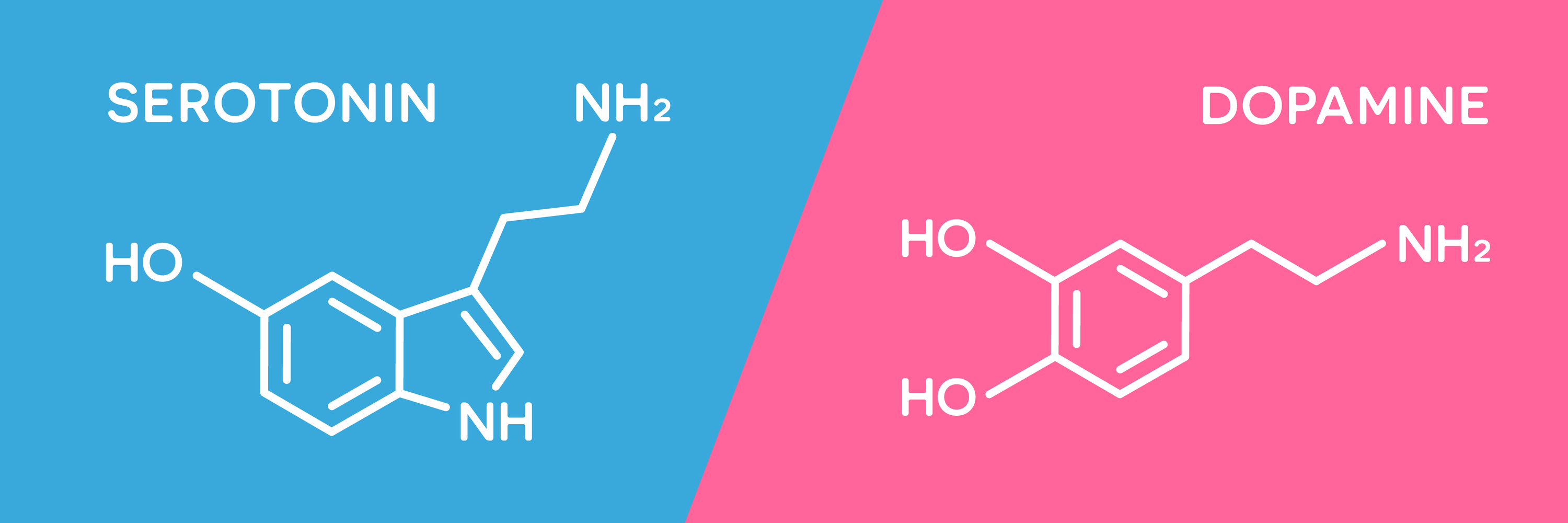 En obalans i serotonin- eller dopaminnivåerna kan leda till ångeststörningar. 