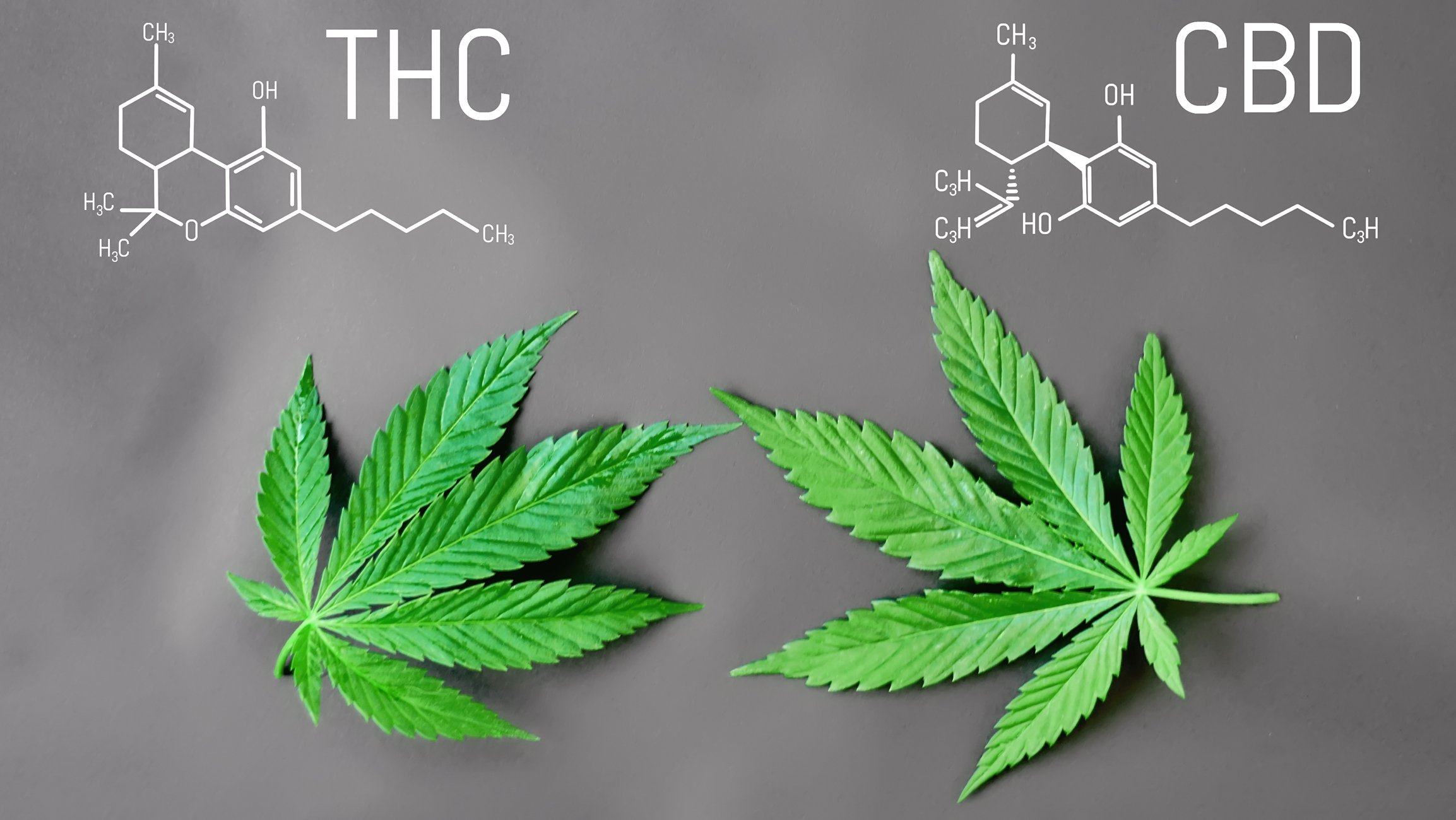 THC- och CBD-molekyl