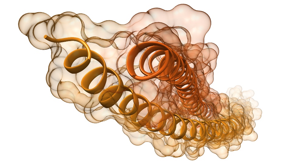 Visualisering av keratinproteinfilament och helixar