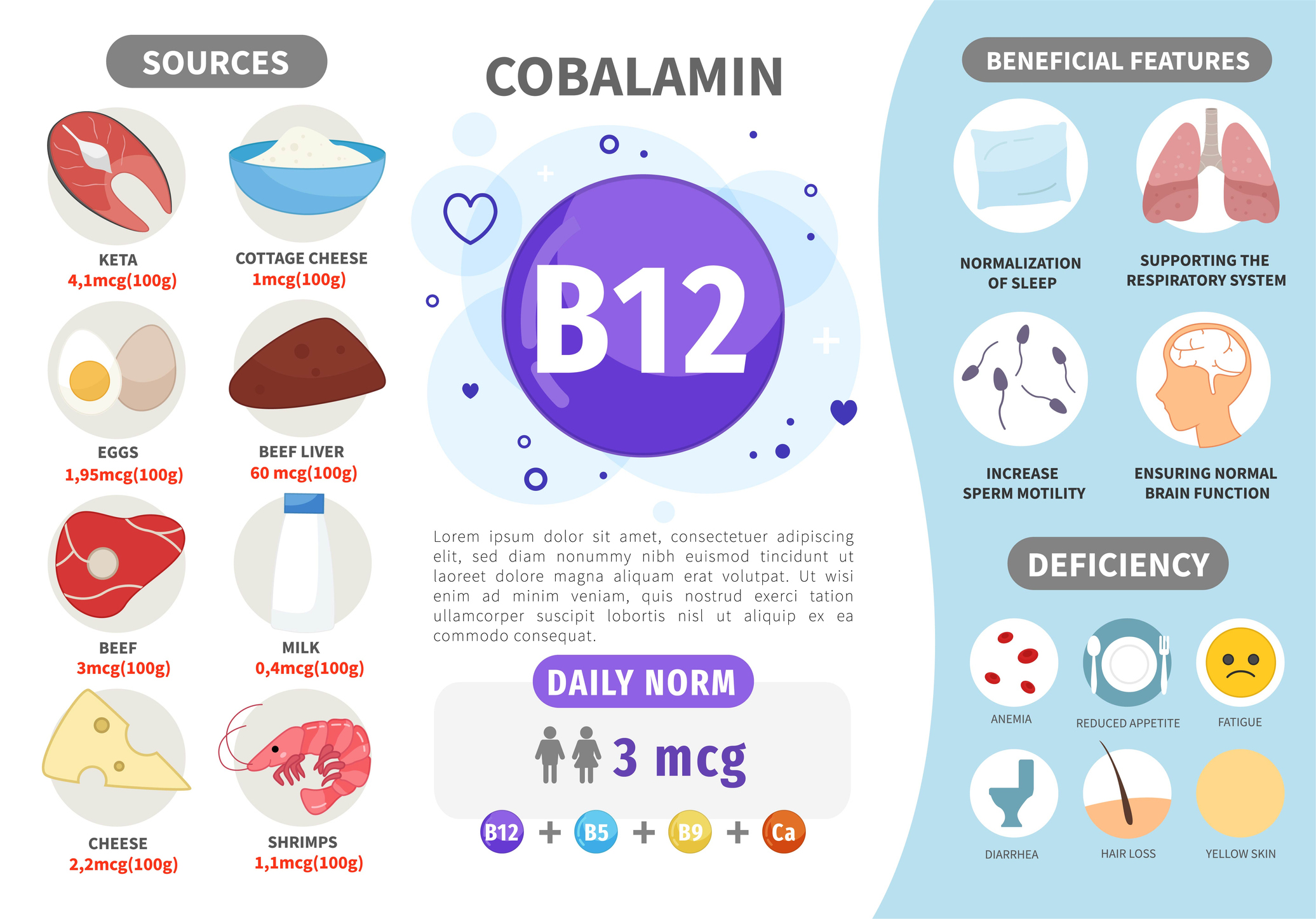 Källor till vitamin B12