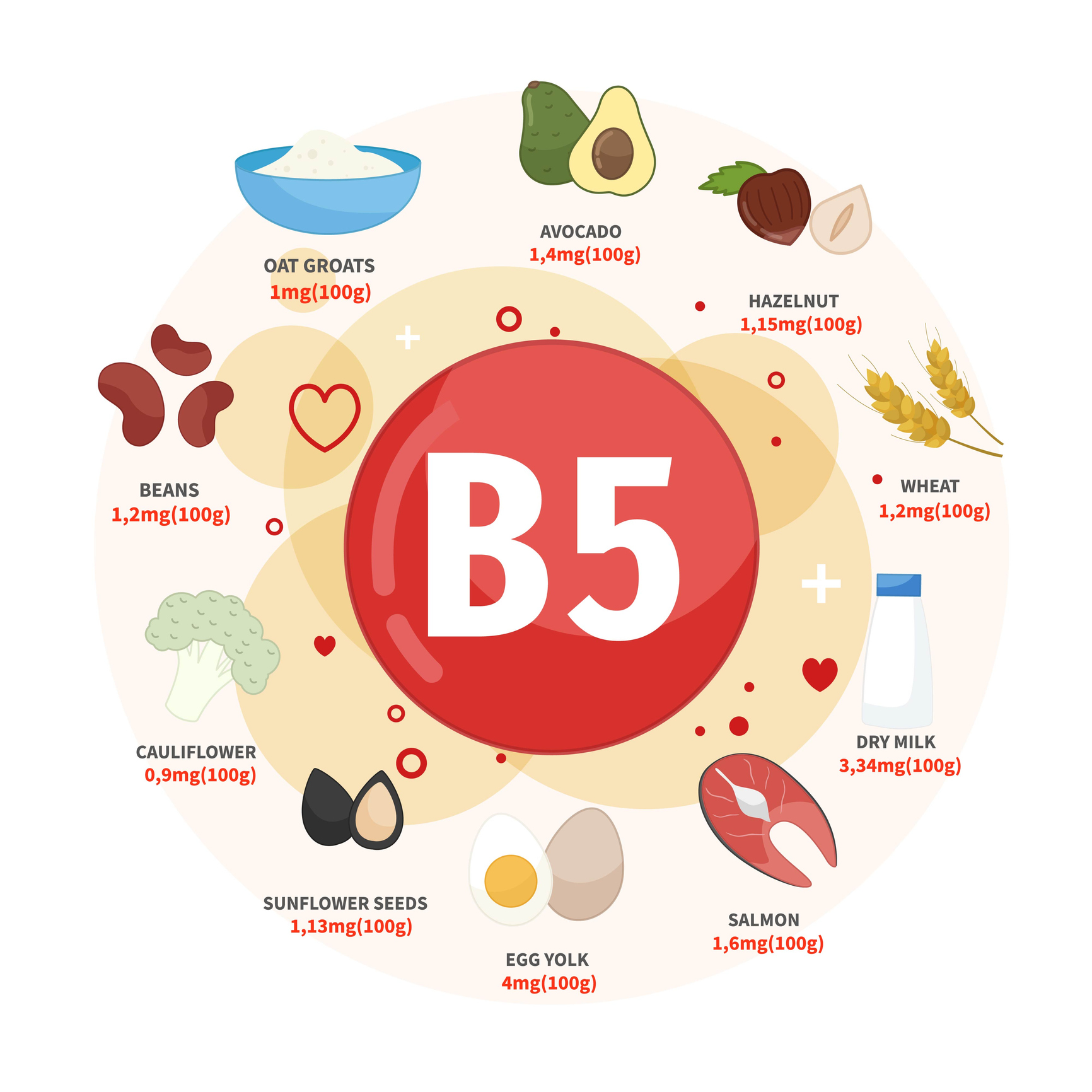 De bästa källorna till vitamin B5 är avokado, hasselnötter, vete, mjölk, lax, ägg, solrosfrön, blomkål, bönor och havregryn. 