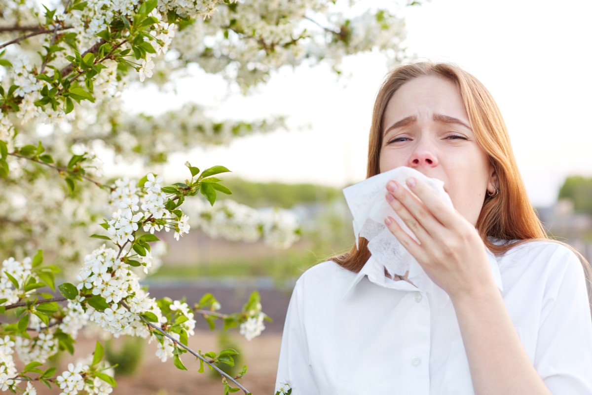 Allergier som orsakar frekventa nysningar och rinnande näsa kan orsaka näsblod