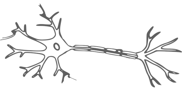 nervcell, neuron