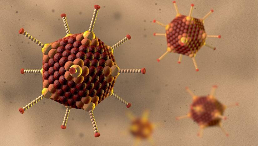 Adenovirusinfektion: vad är adenovirus, hur smittar det och vilka är symtomen?