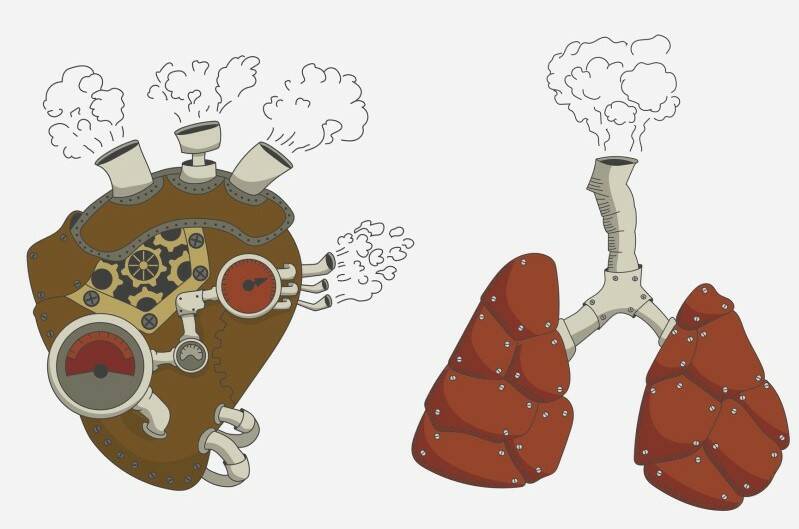 Pulmonell hypertension: vad är det och varför uppstår det? + Symtom och behandling