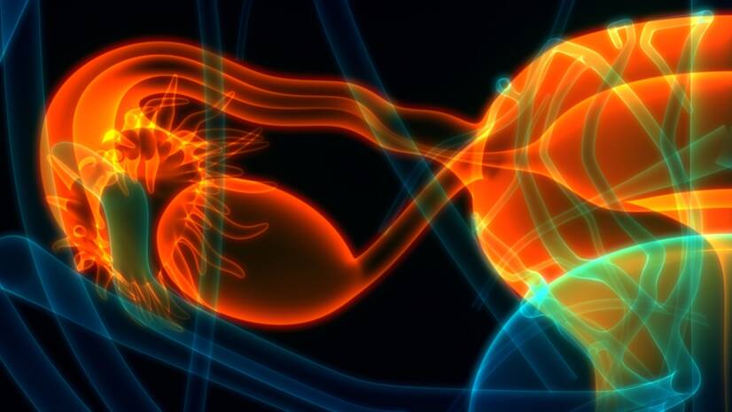 Inflammation i äggstockarna (ooforit) och inflammation i livmoderns bihang (adnexit)