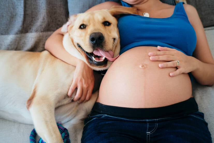 Gravid kvinna och husdjur. Fotokälla: Getty Images