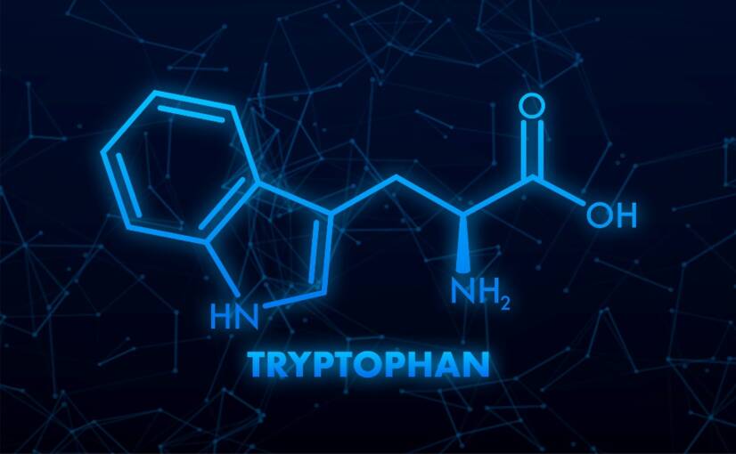 L-tryptofan och dess effekter på kroppen. Hjälper det med humör och sömn?